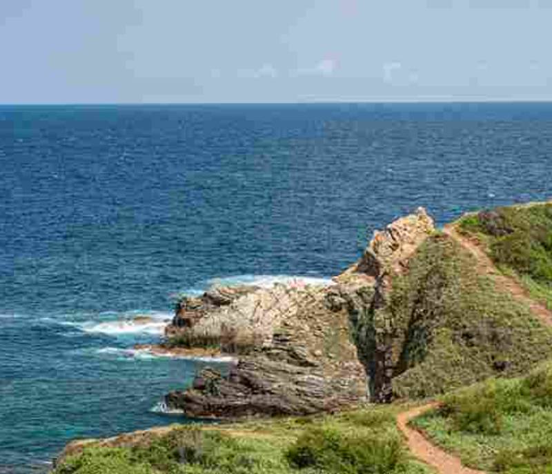 Mazunte Pueblo M Gico De Oaxaca Lomito Friendly