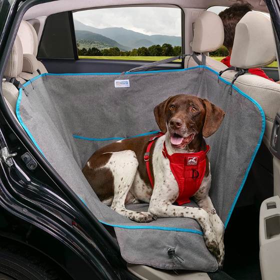 Si tienes perro, no te pierdas esta funda impermeable para el asiento  trasero del coche