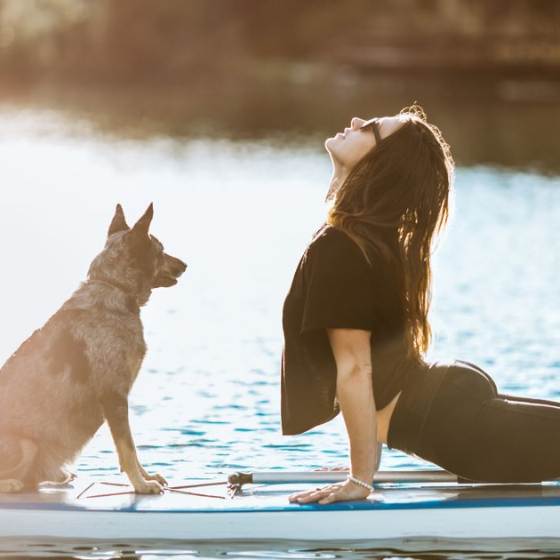 Yoga con perros: Doga