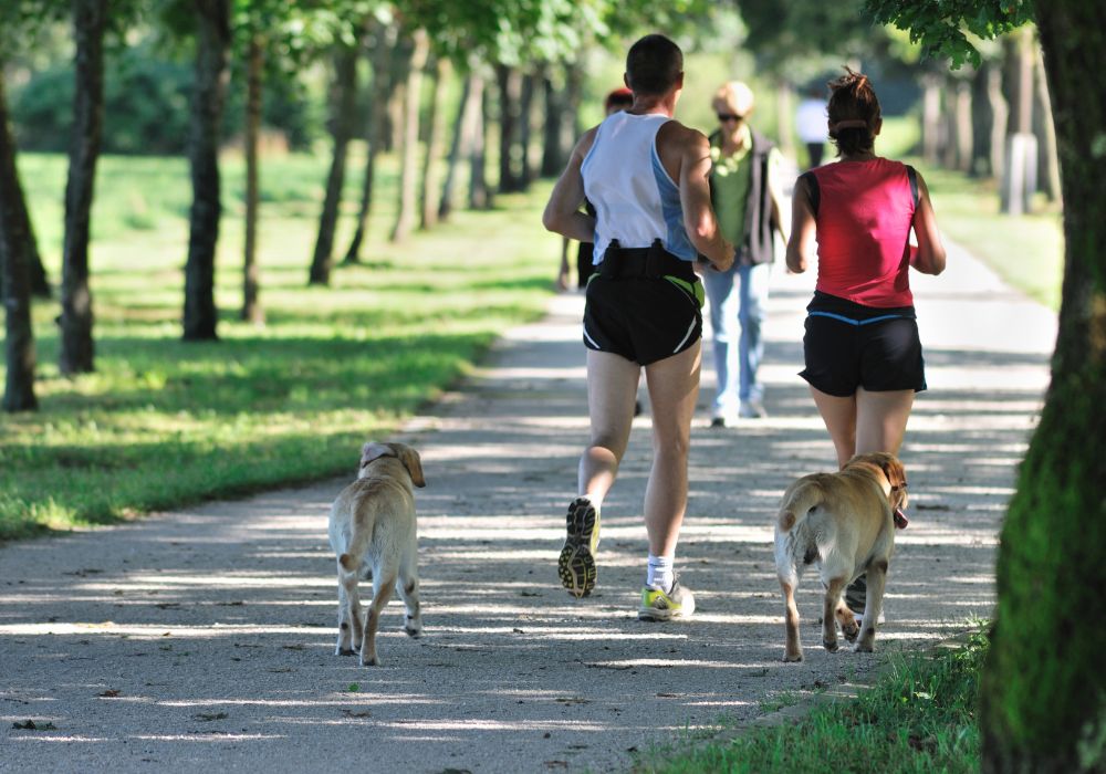 correr con perros en parques pet friendly